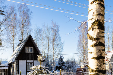 Similar image 22028185