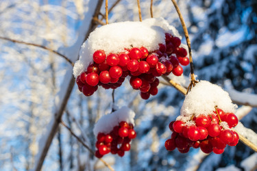 Similar image 22028186