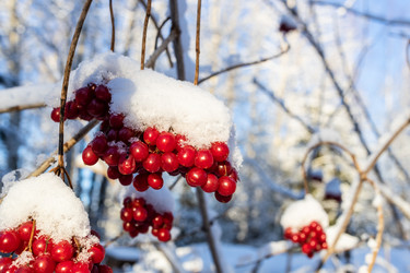 Similar image 22028187