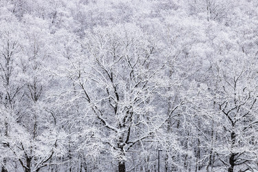 Similar image 22028194