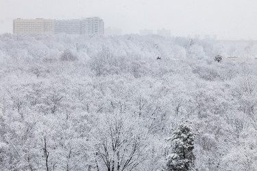 Similar image 22028201