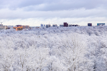 Similar image 22028206