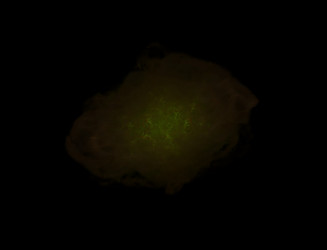 Similar image 22030960