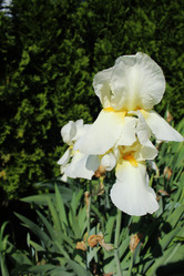 Similar image 22037932