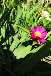 Similar image 22037933