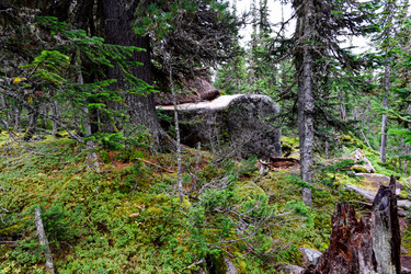 Similar image 22028543