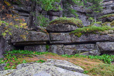 Similar image 22028654