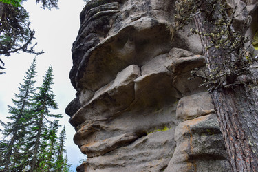 Similar image 22028656