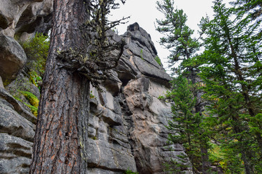 Similar image 22028657