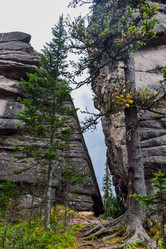 Similar image 22028659