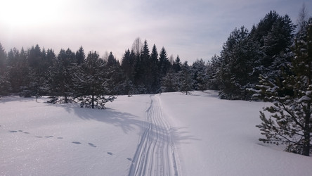 Similar image 22028067