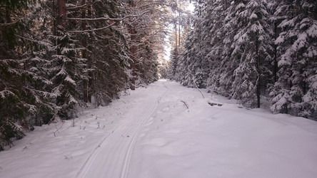 Similar image 22028068