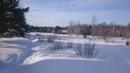 Similar image 22028069