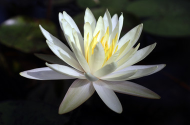 Similar image 22028071