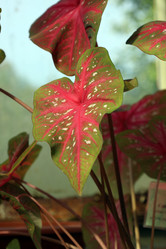 Similar image 22028072