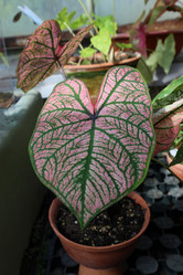 Similar image 22028073