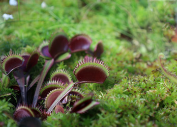 Similar image 22028074