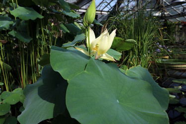 Similar image 22028077