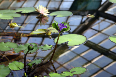 Similar image 22028078