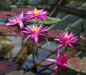 Similar image 22028080