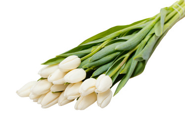 Similar image 22028208