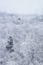 Similar image 22028223