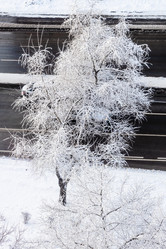 Similar image 22028226