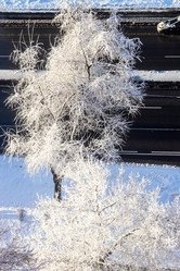 Similar image 22028227