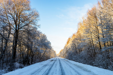 Similar image 22028242