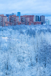 Similar image 22028243