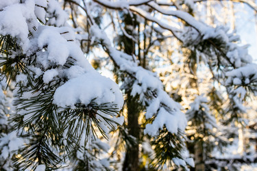 Similar image 22028244