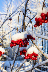 Similar image 22028304