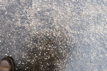 Similar image 22028318