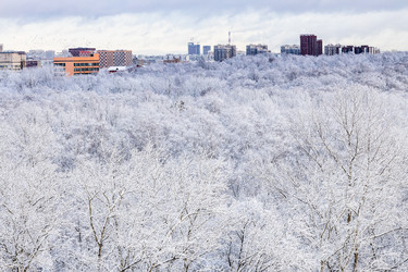 Similar image 22028324