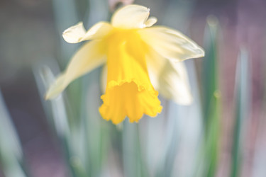 Similar image 22028714