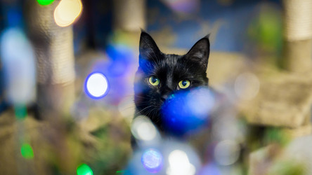 Similar image 22028716