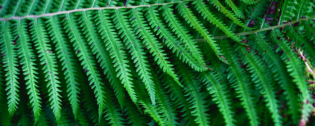 Similar image 22028720