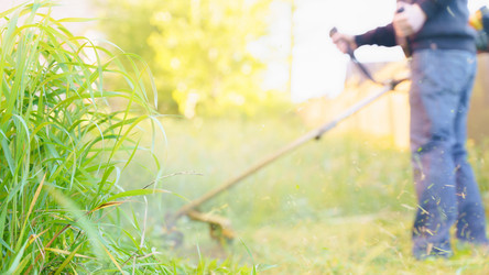 Similar image 22028721