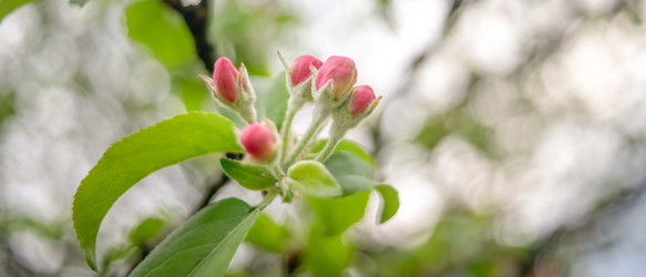 Similar image 22028722