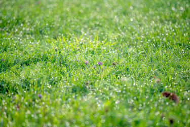 Similar image 22028723