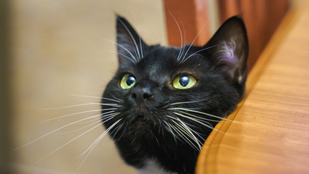 Similar image 22028725