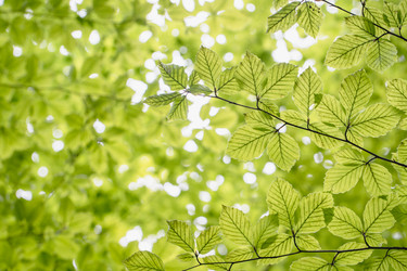 Similar image 22028730