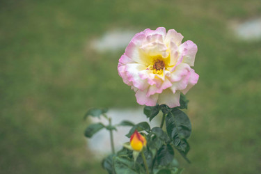 Similar image 22028732