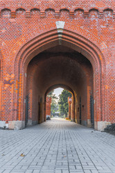 Similar image 22028733