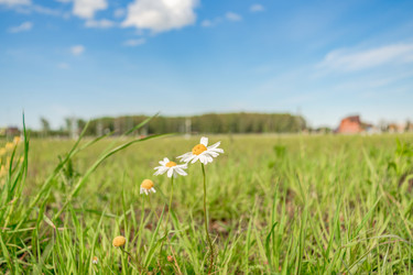 Similar image 22028738