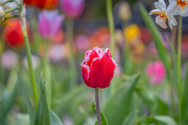 Similar image 22028739