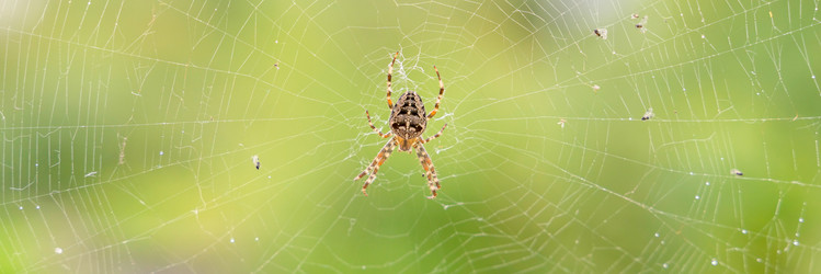 Similar image 22028740