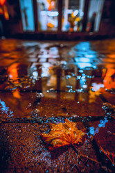 Similar image 22028743