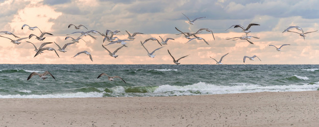 Similar image 22028744