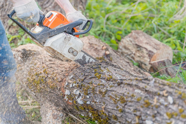 Similar image 22028745